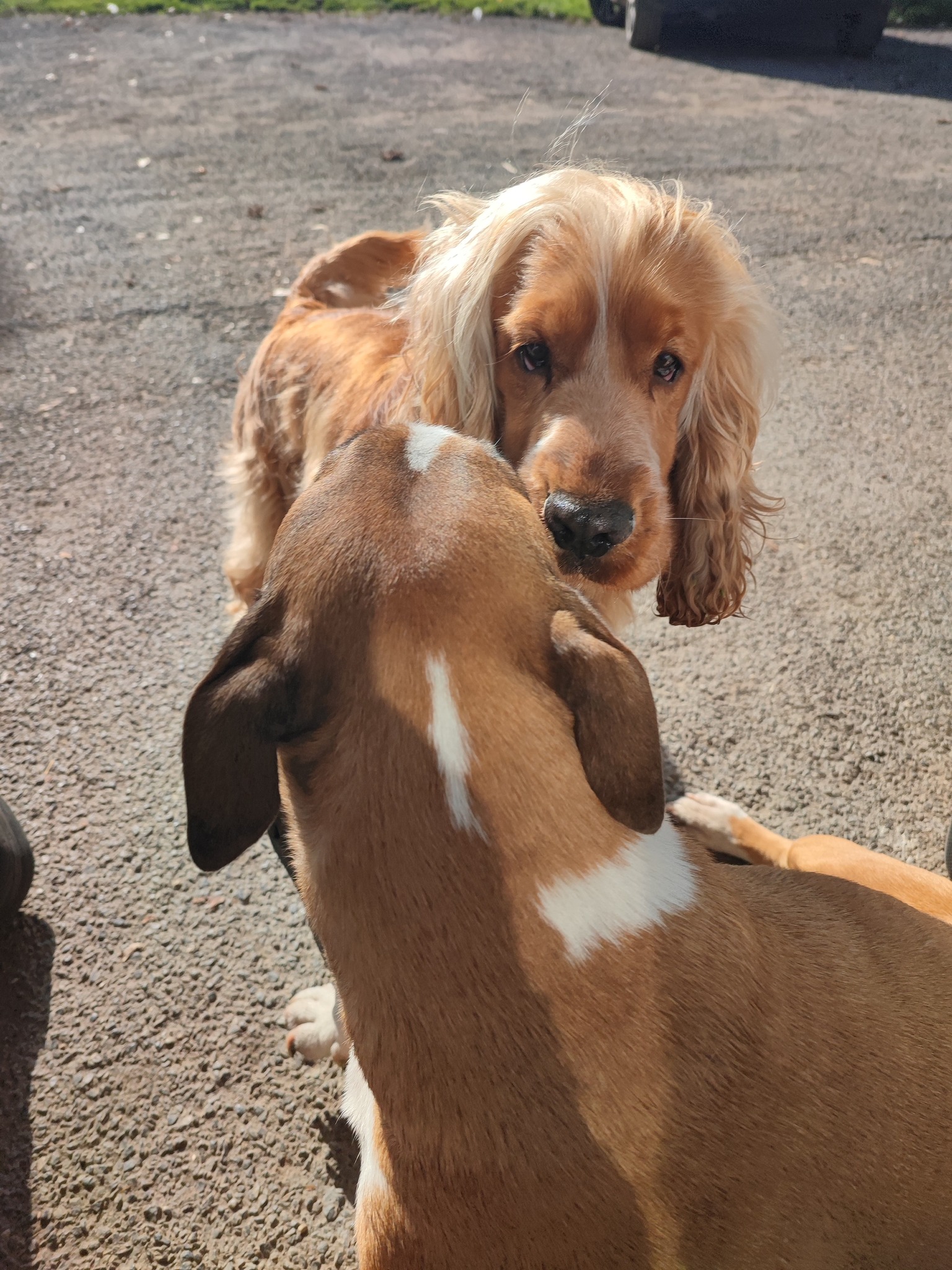 Installations sécurisées